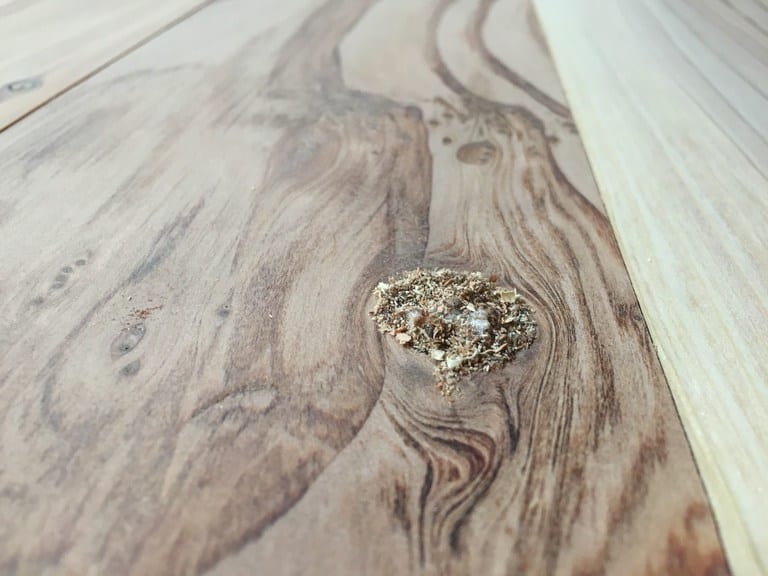 How to Make Wood Filler from Sawdust SawsHub