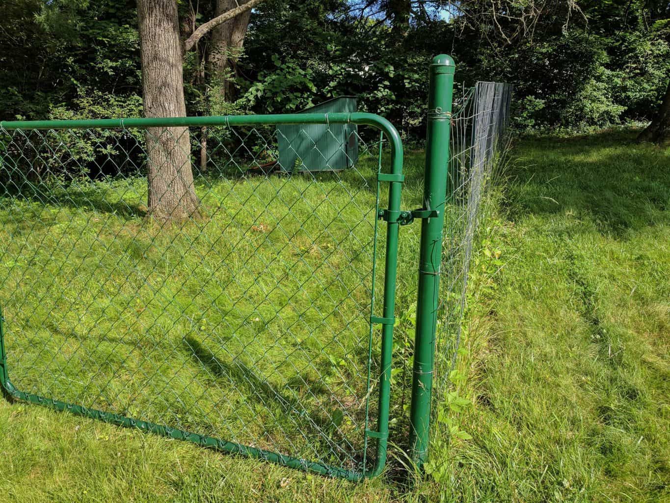 4 Dog Fence Ideas How to Build for Cheap SawsHub