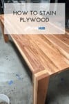 Cover image for how to stain plywood