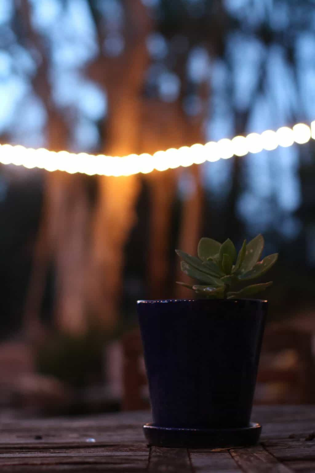 15 Easy, Simple, and Fun DIY String Light Ideas SawsHub