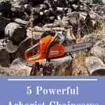 Cover image for the 5 powerful arborist chainsaws