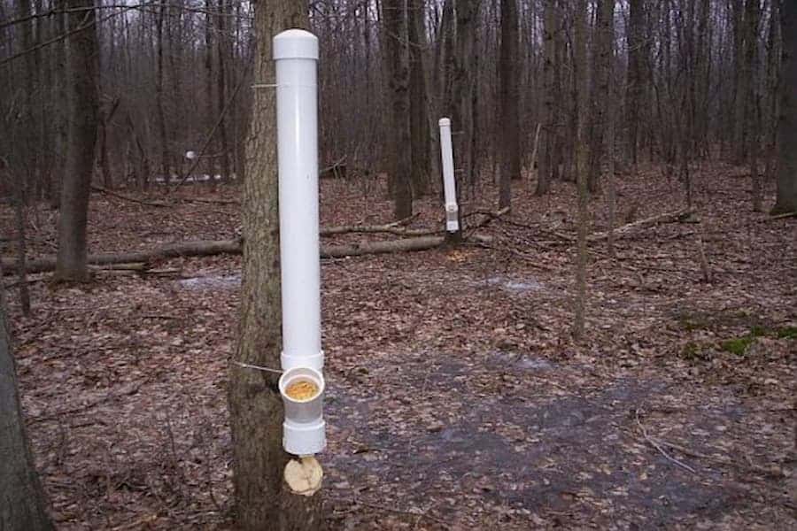 Homemade Deer Feeders 5 Gallon Bucket My Bios