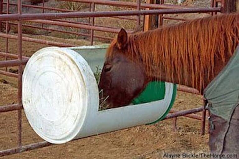 Top 18 DIY Horse Feeder Ideas SawsHub