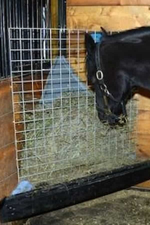 Indoor stall horse feeder