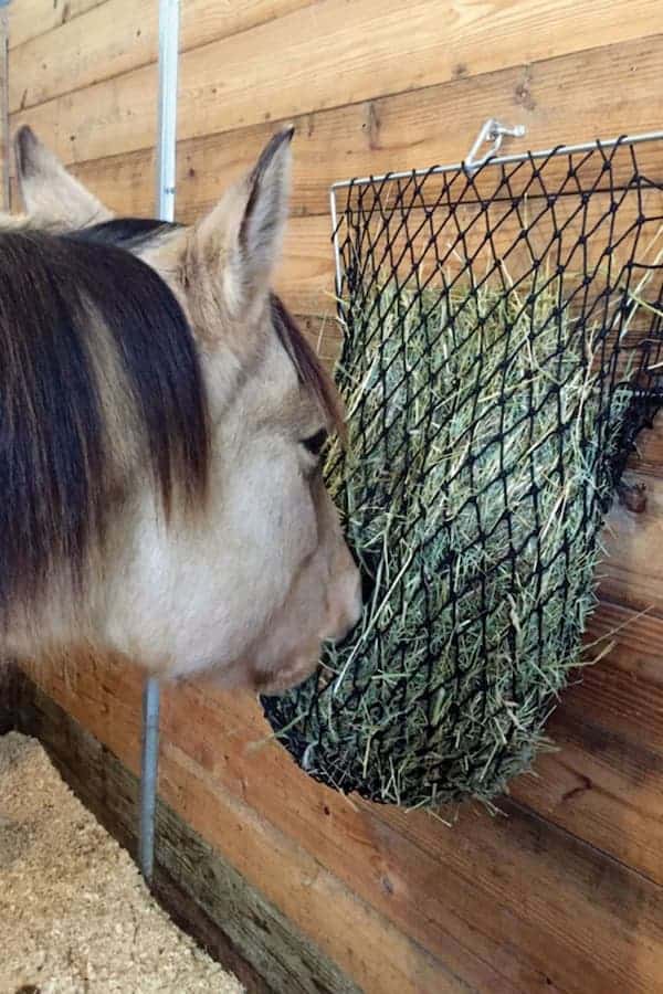 Mesh bag horse feeder