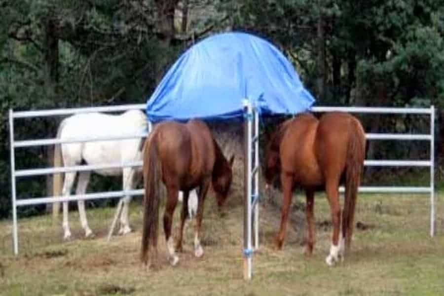 Horse feeder with tarp roof