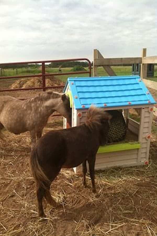 Plastic playhouse horse feeder