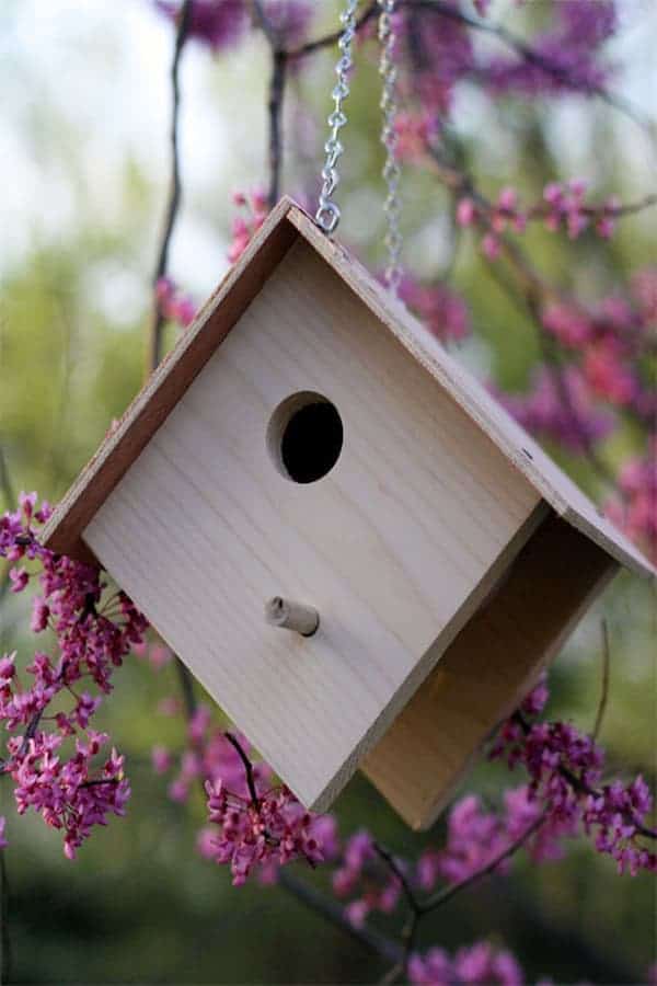 Wooden birdhouse project