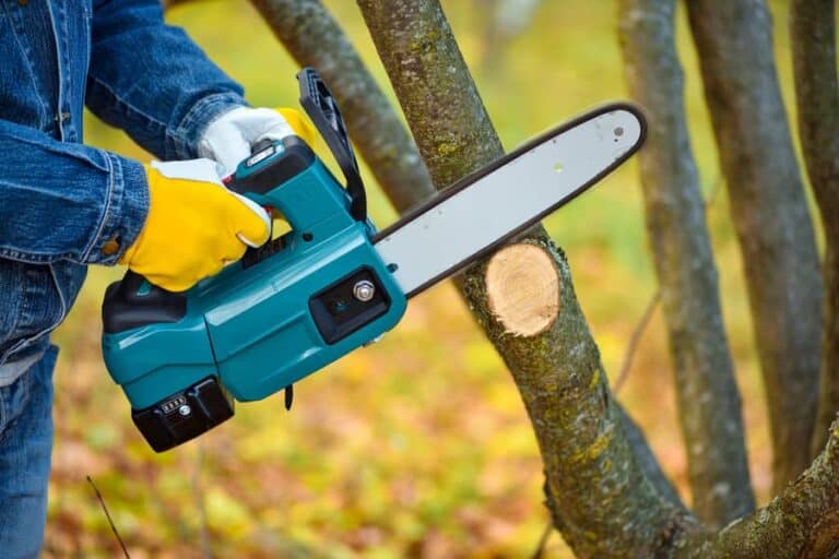 Best Battery Chainsaw [2024 Review] SawsHub