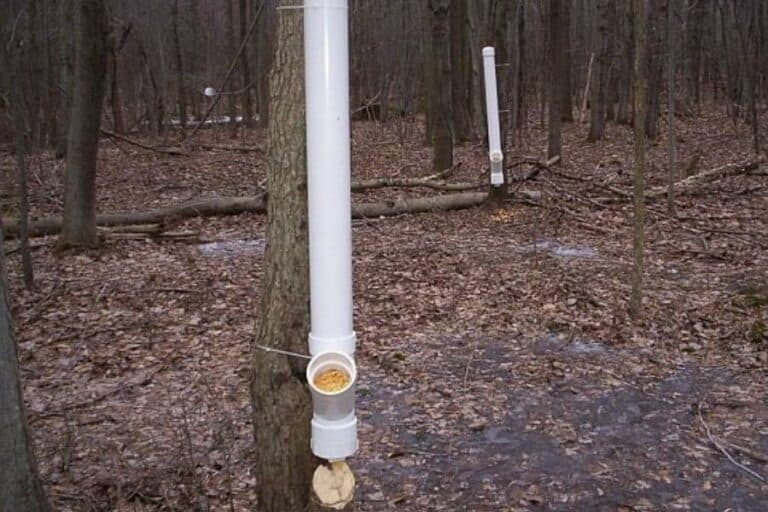 11 DIY Deer Feeder Ideas SawsHub