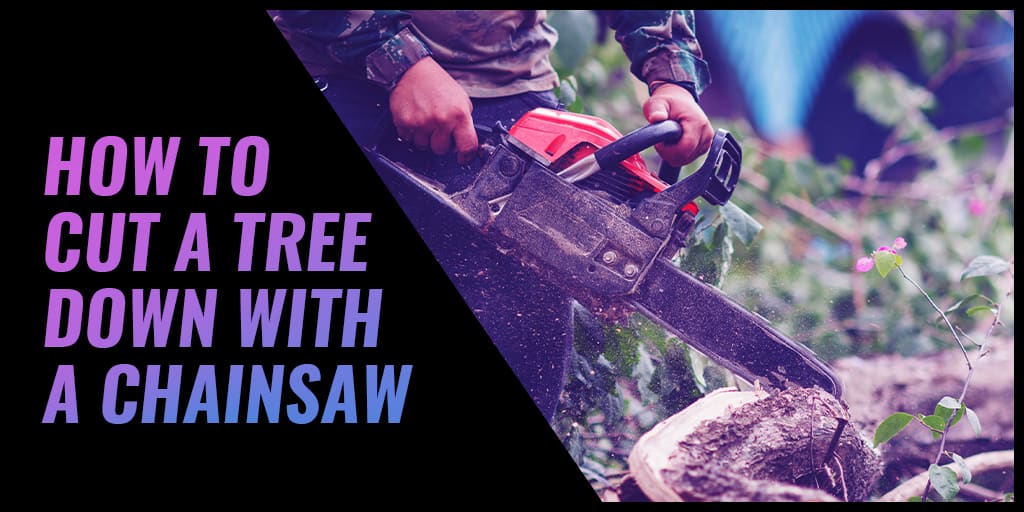 How To Cut A Tree Down With A Chainsaw SawsHub
