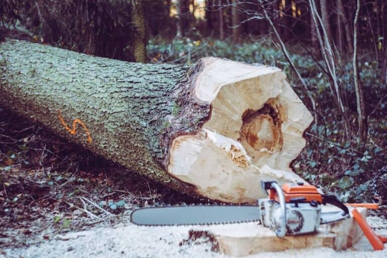 Best Chainsaw Chain for Hardwood [2024 Review] SawsHub