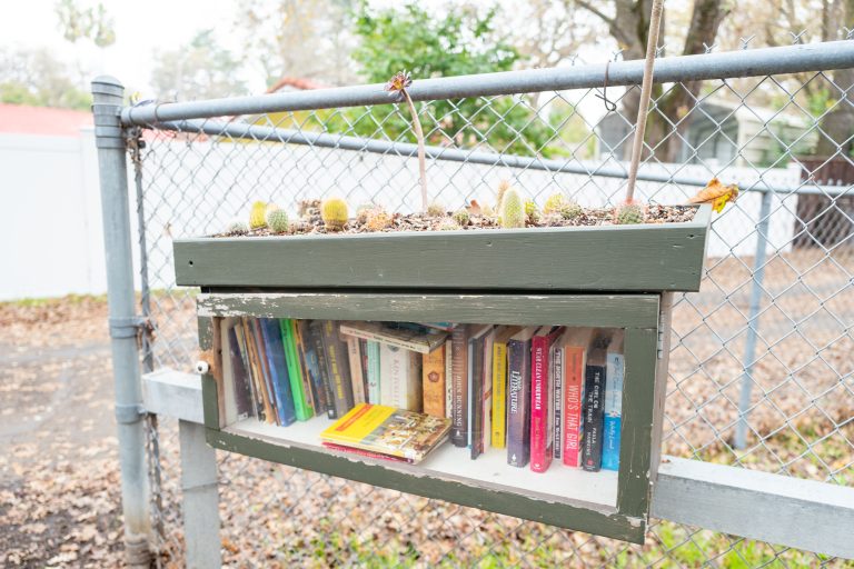 How to Build a Little Free Library For Your Front Yard - post thumbnail