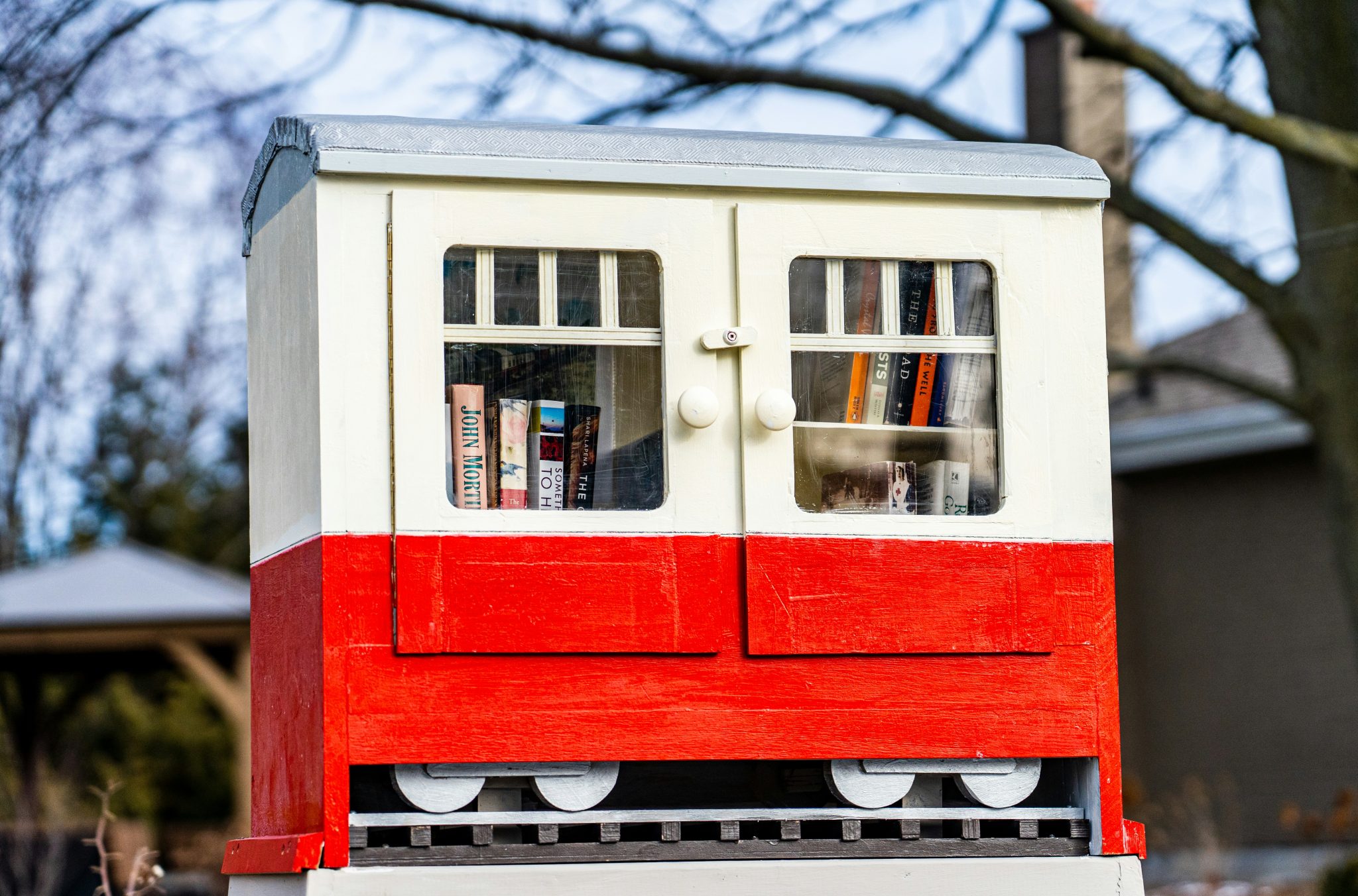 How to Build a Little Free Library For Your Front Yard | SawsHub