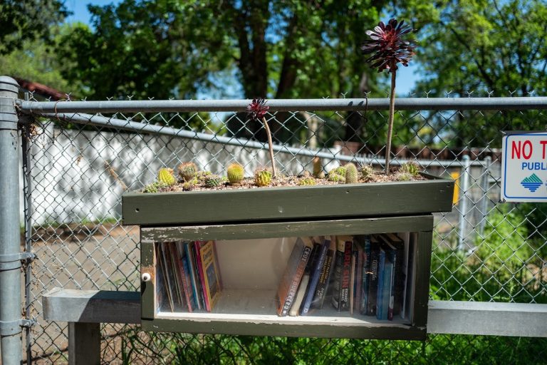 Street Side Library Setup How to Build a Little Free Library For Your Front Yard | SawsHub