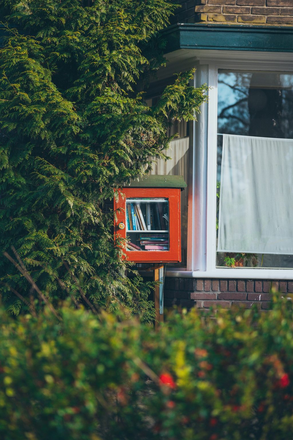 How to Build a Little Free Library For Your Front Yard | SawsHub